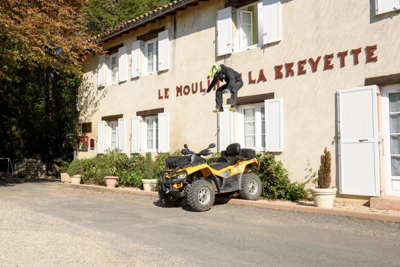 Hotel Du Moulin De La Brevette Arbigny Exterior photo